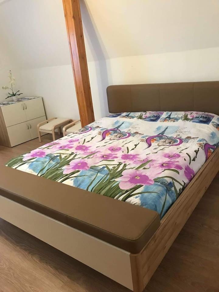 Tisza-Tavi Apartmanok House in Hungary