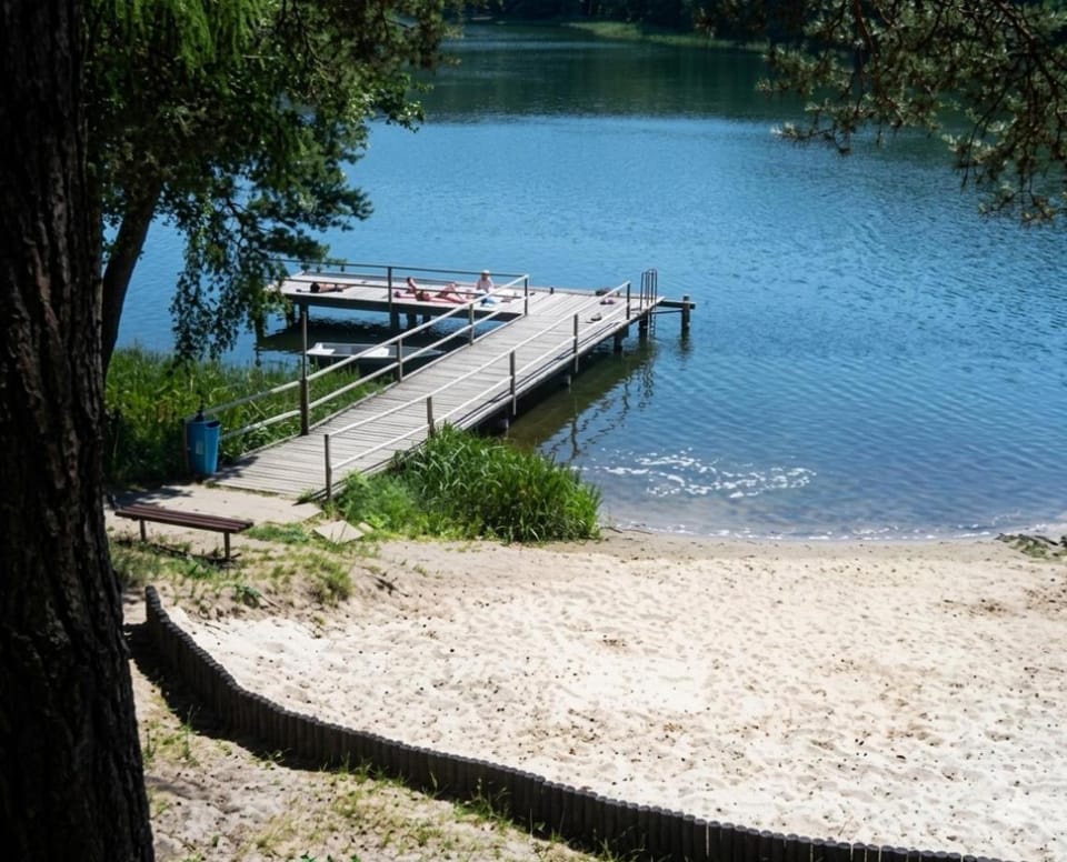 Lake view