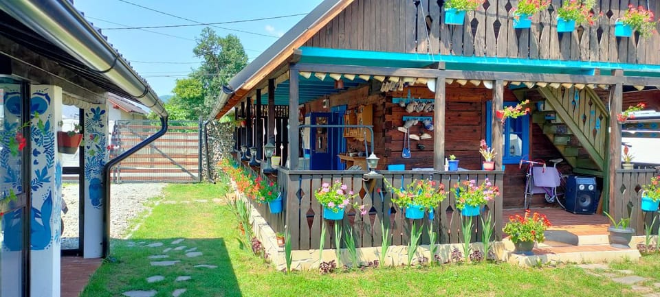 Casa Toth din Țipțerai Bed and Breakfast in Romania