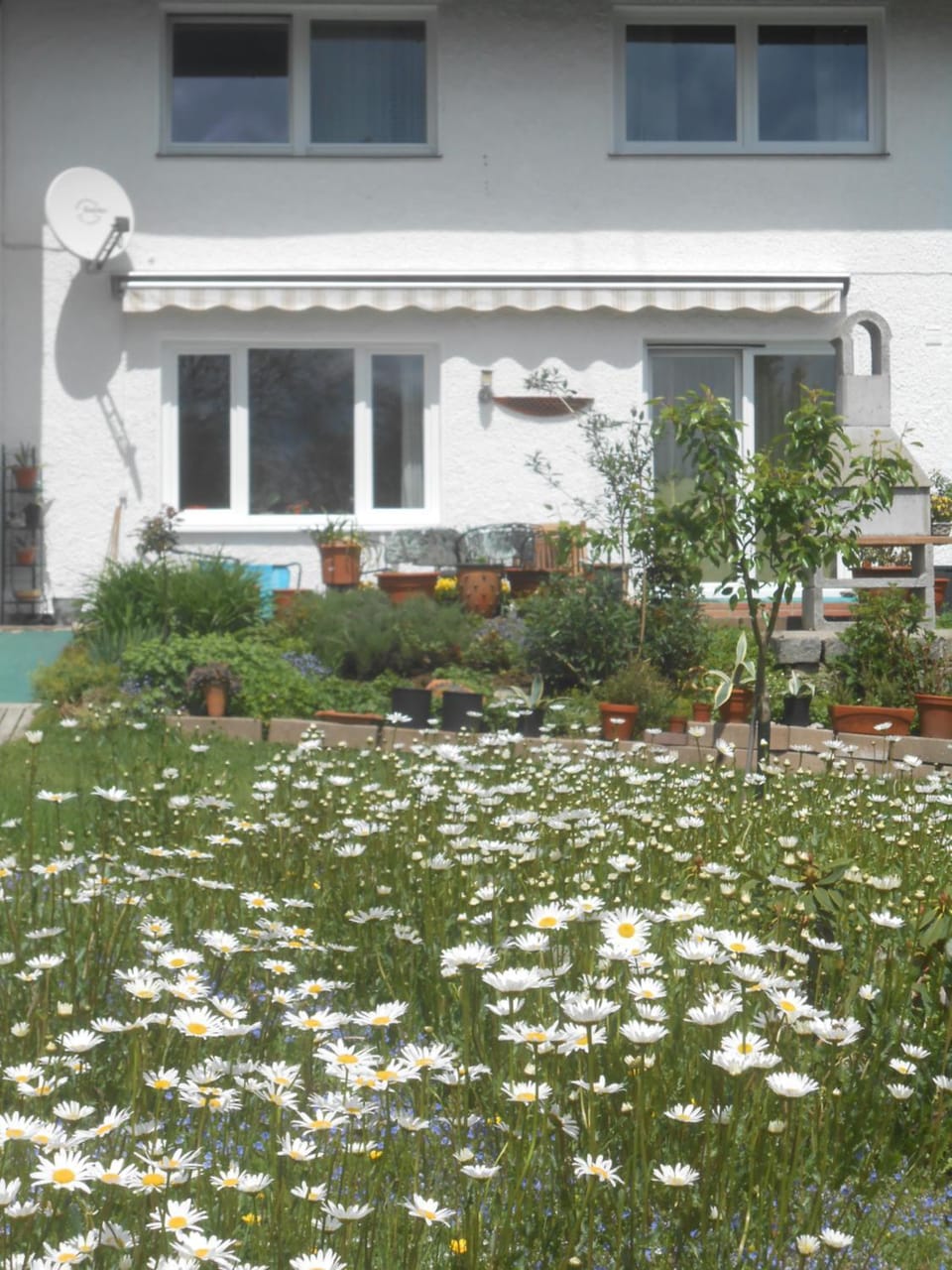 Property building, Garden