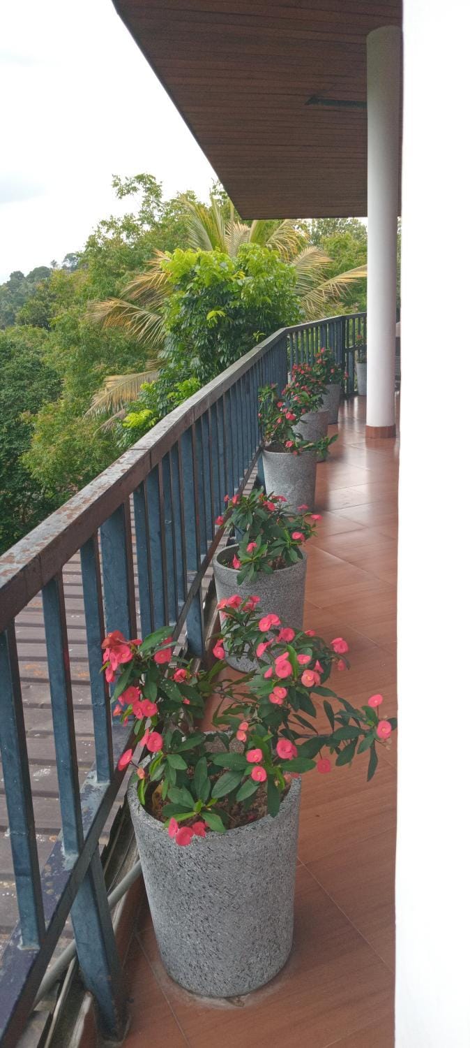 View (from property/room), Balcony/Terrace