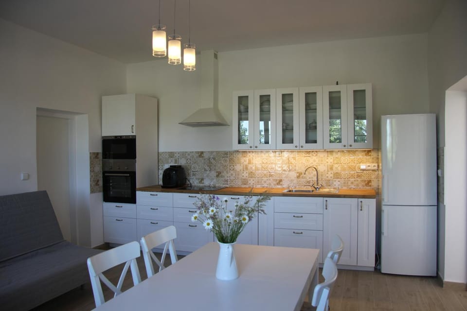 Kitchen or kitchenette, dishwasher, pet friendly, stove