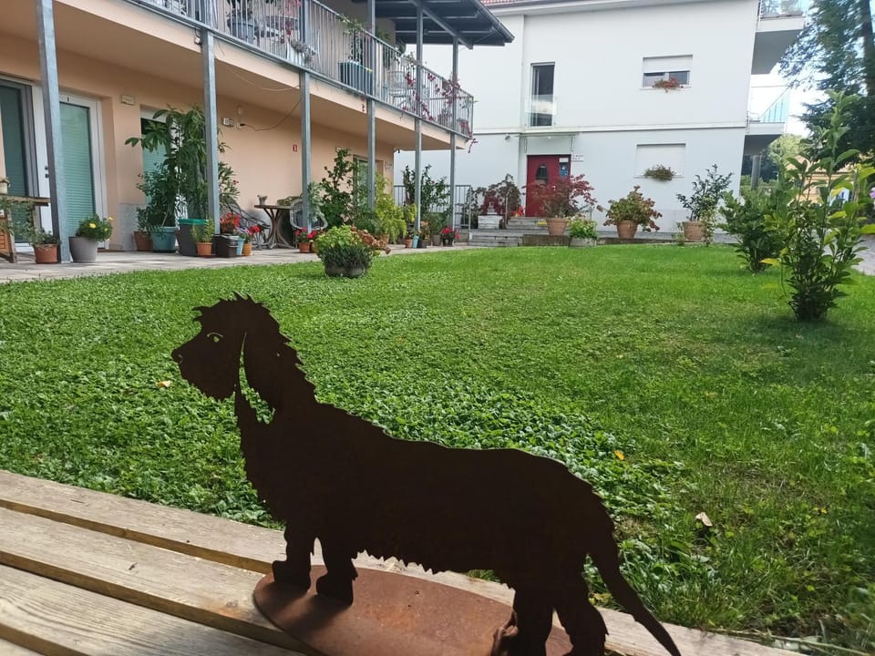 Garden view