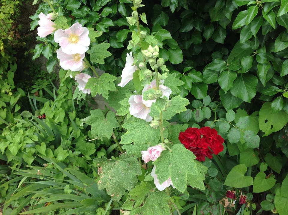Al Chiarè Bed and Breakfast in Province of Lecco