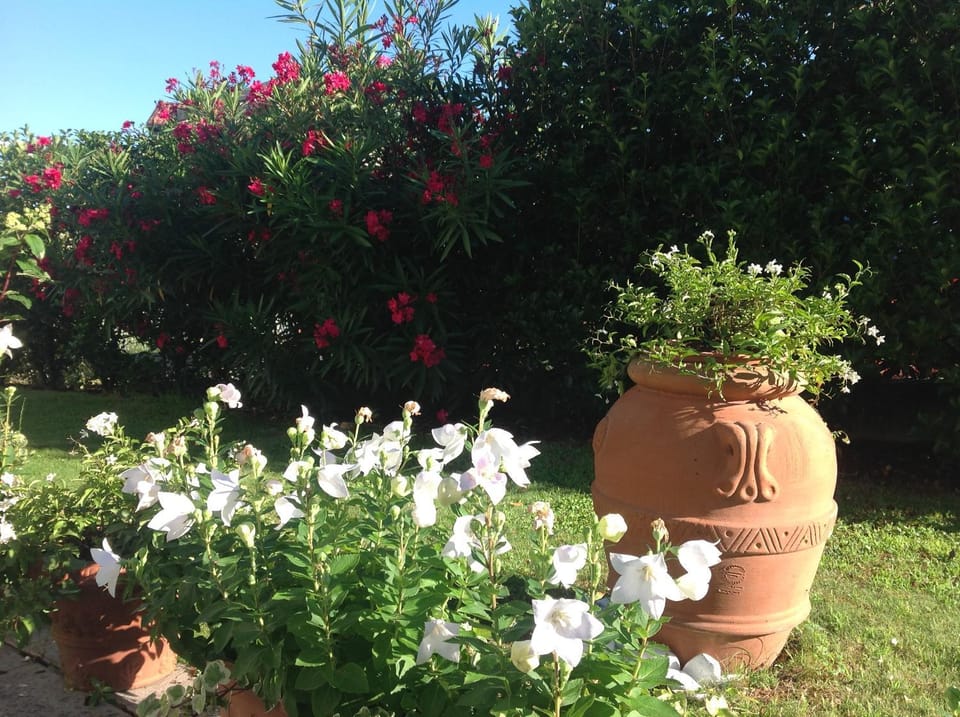 Al Chiarè Bed and Breakfast in Province of Lecco