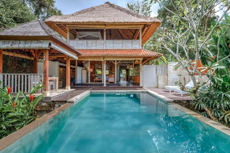 Property building, Patio, Spring, Day, Garden, Garden view, Pool view, Swimming pool, sunbed