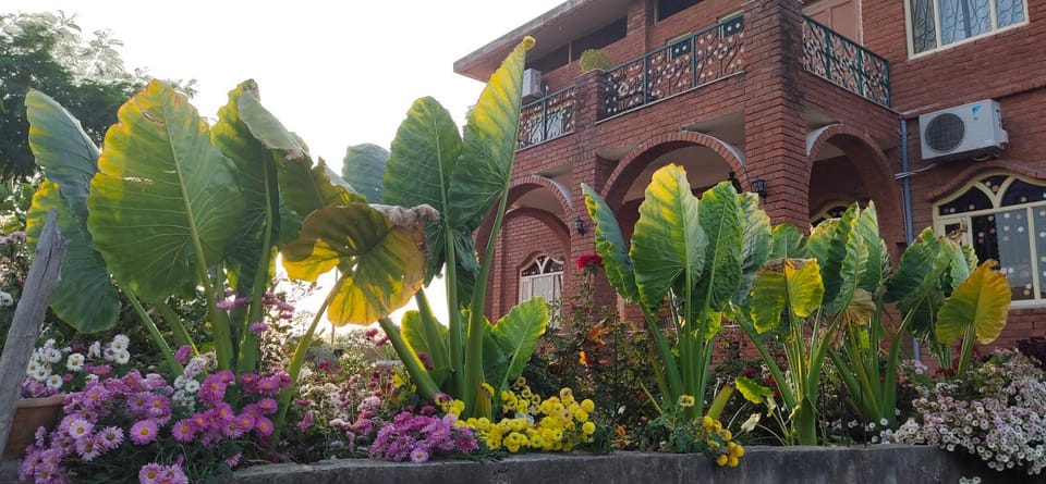 lalita homestay countryside Bed and Breakfast in Uttar Pradesh
