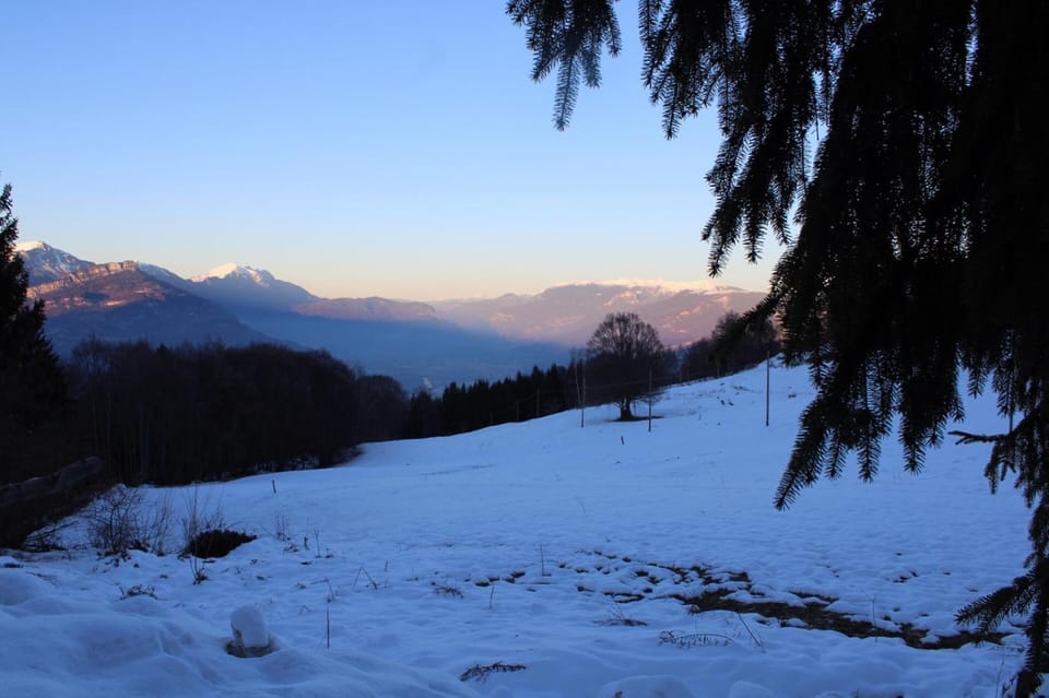 Residenza il bosco Apartment in Trentino-South Tyrol
