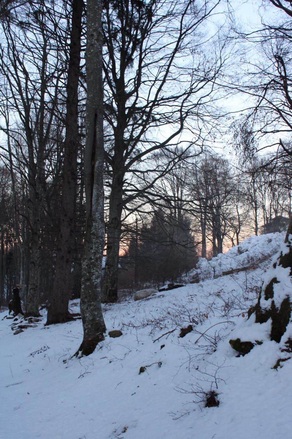 Residenza il bosco Apartment in Trentino-South Tyrol