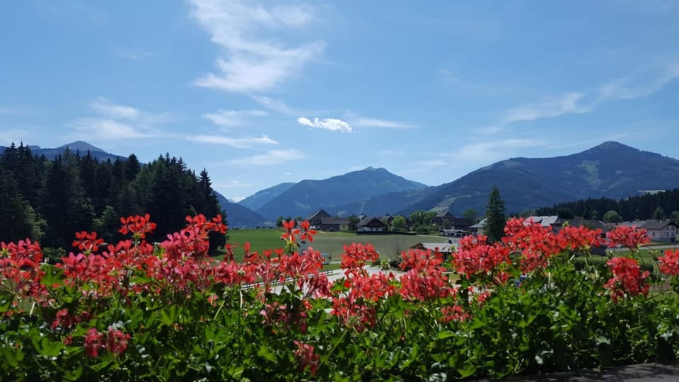 Gästehaus Pehab Apartment in Salzburgerland