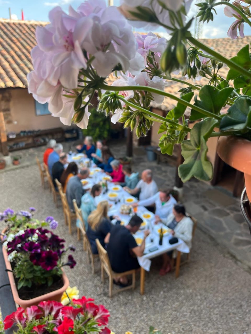 Garden, Dinner