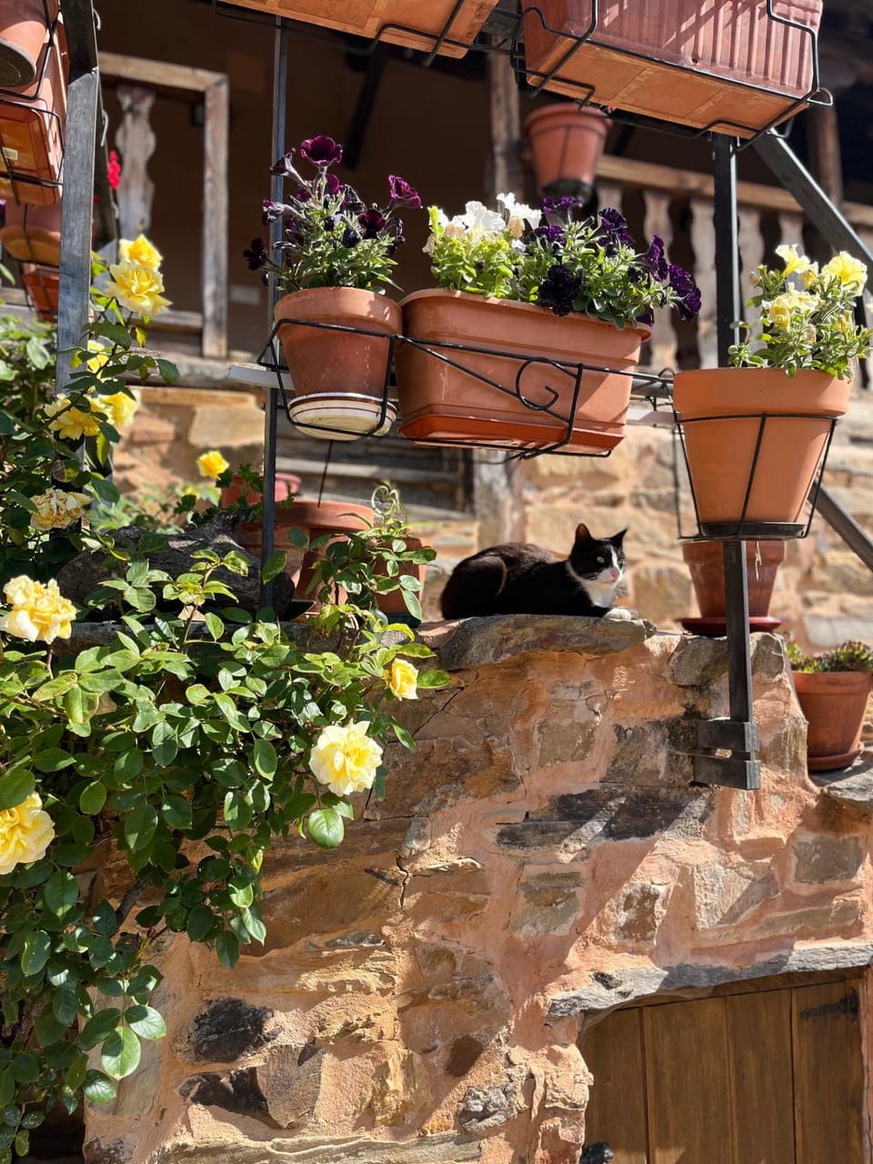 Patio, Spring, Garden, Garden view
