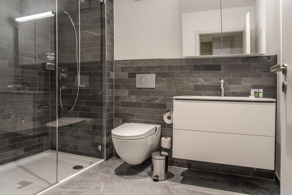 Shower, Toilet, Bathroom, hair dryier, towels