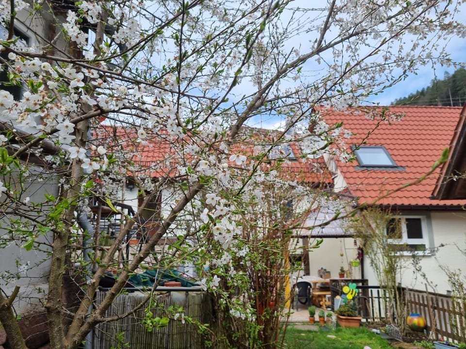 Ferienwohnung TAL-ECK House in Baden-Württemberg