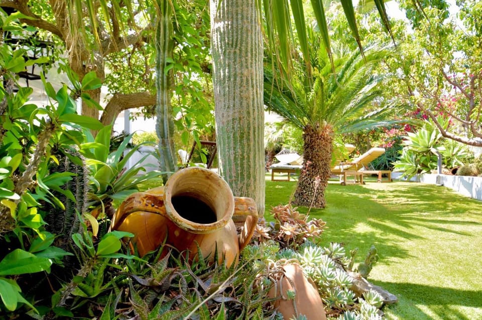 Garden view