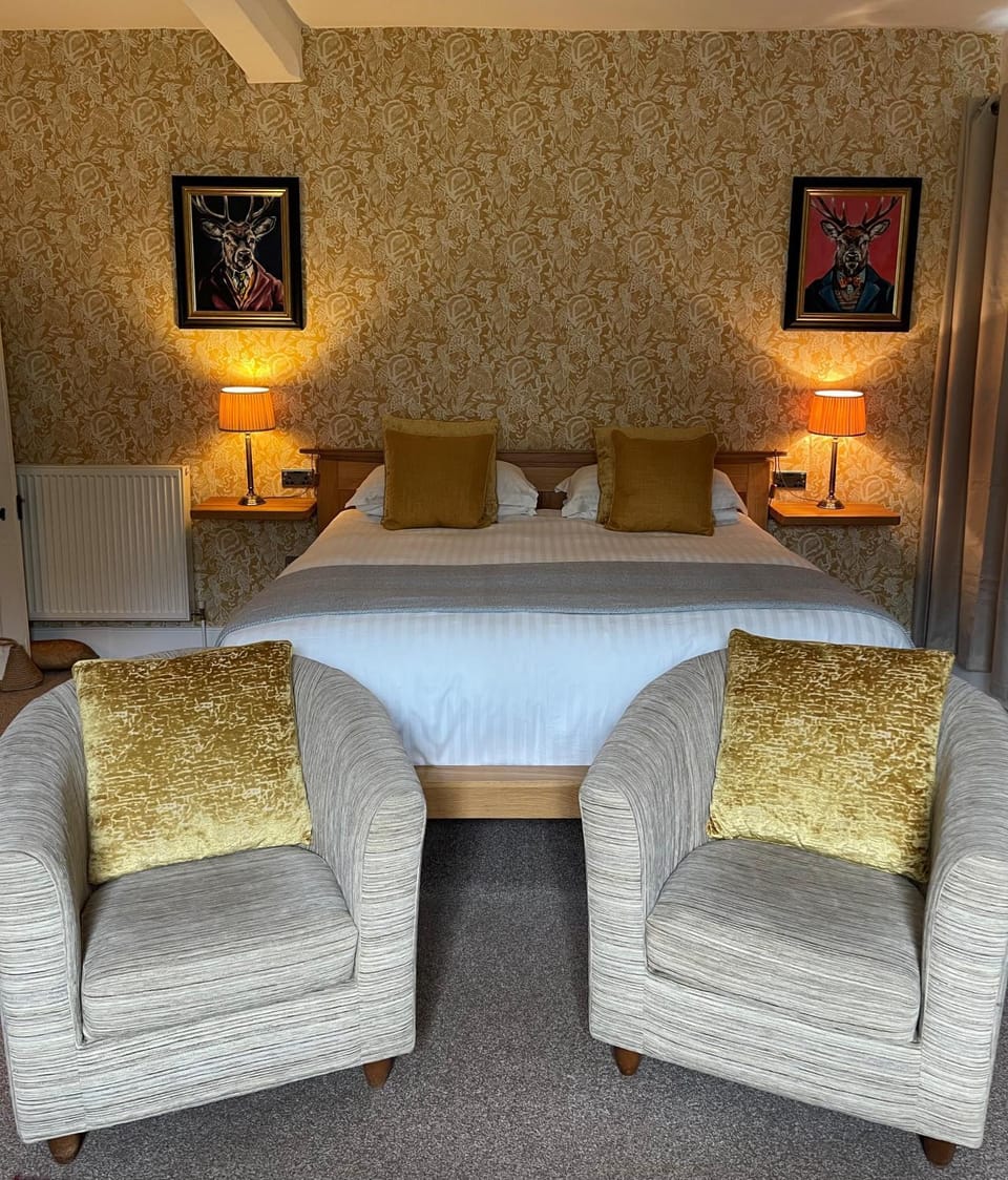 Bed, Seating area, Bedroom