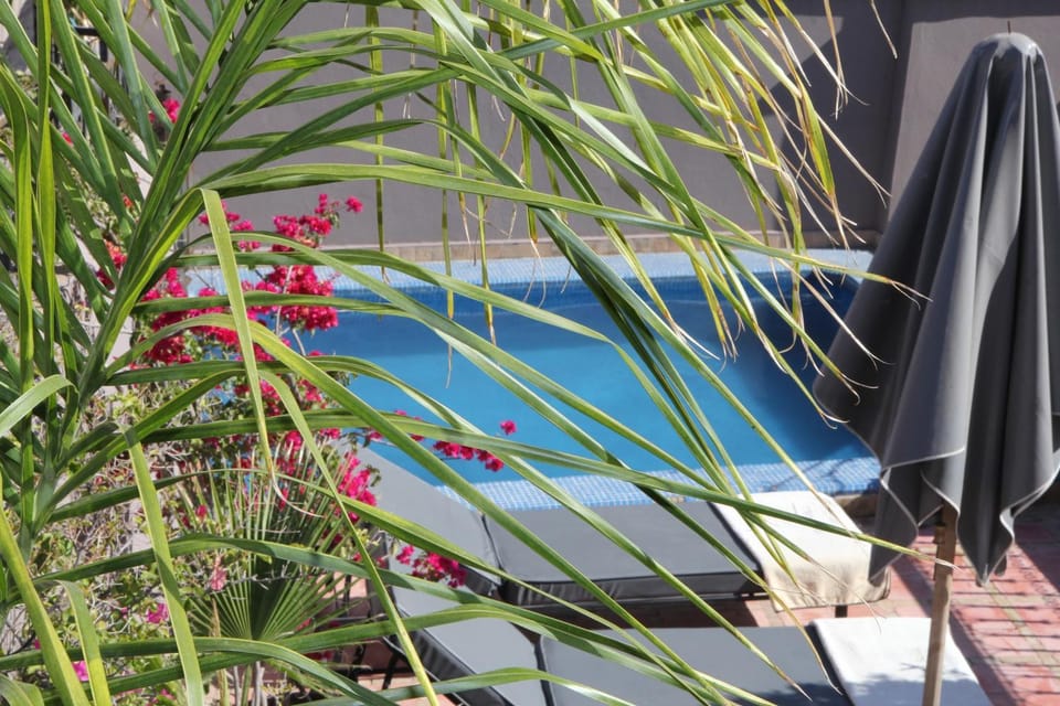 Swimming pool, Swimming pool