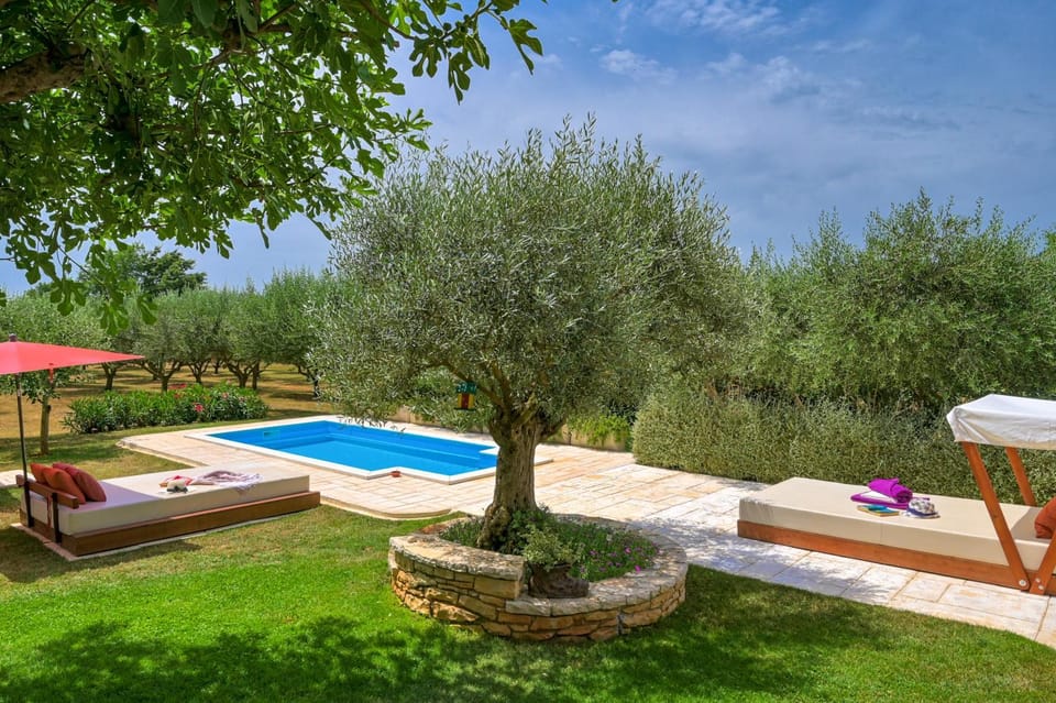 Casa Oliveto House in Istria County