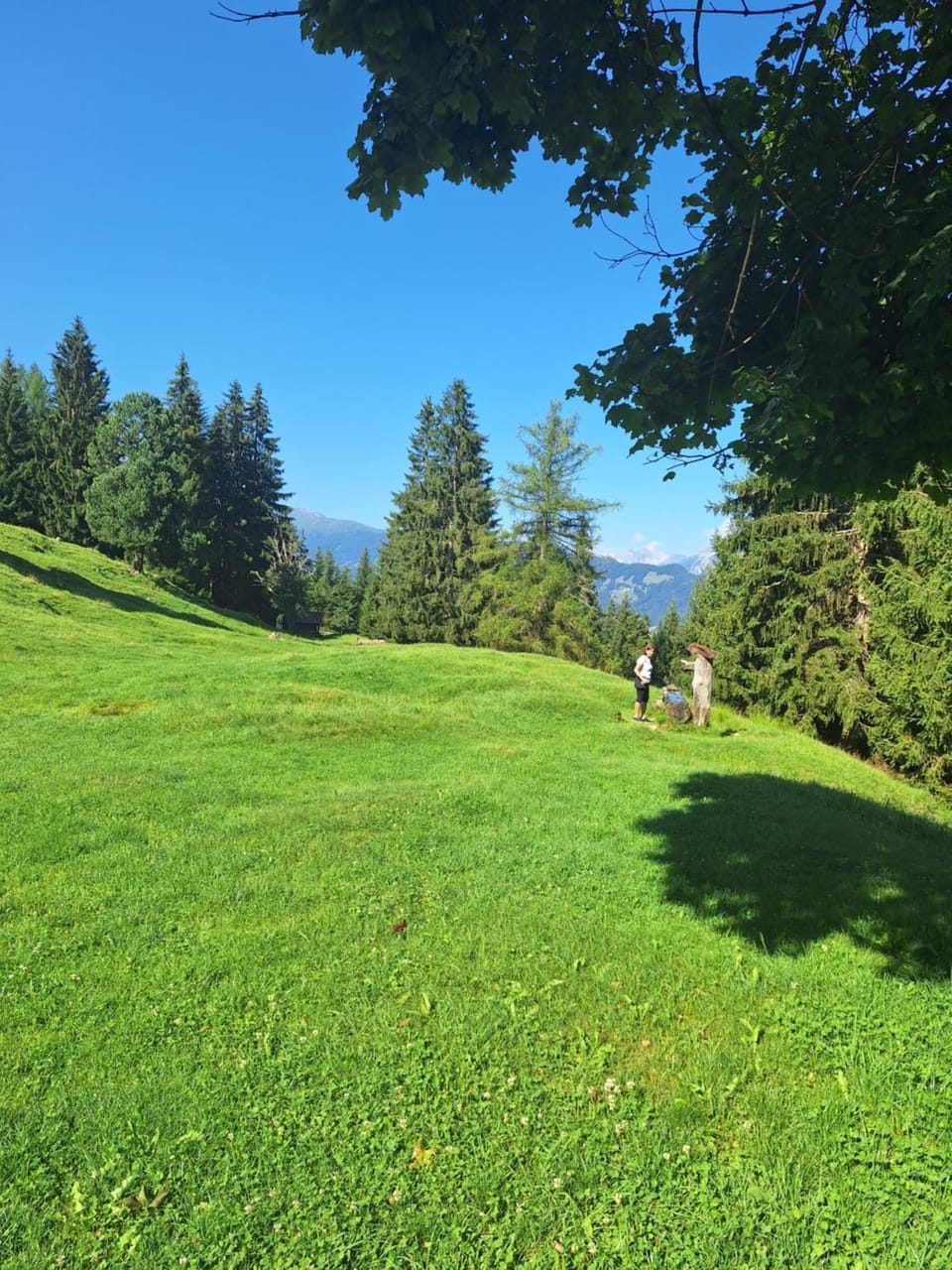 Natural landscape