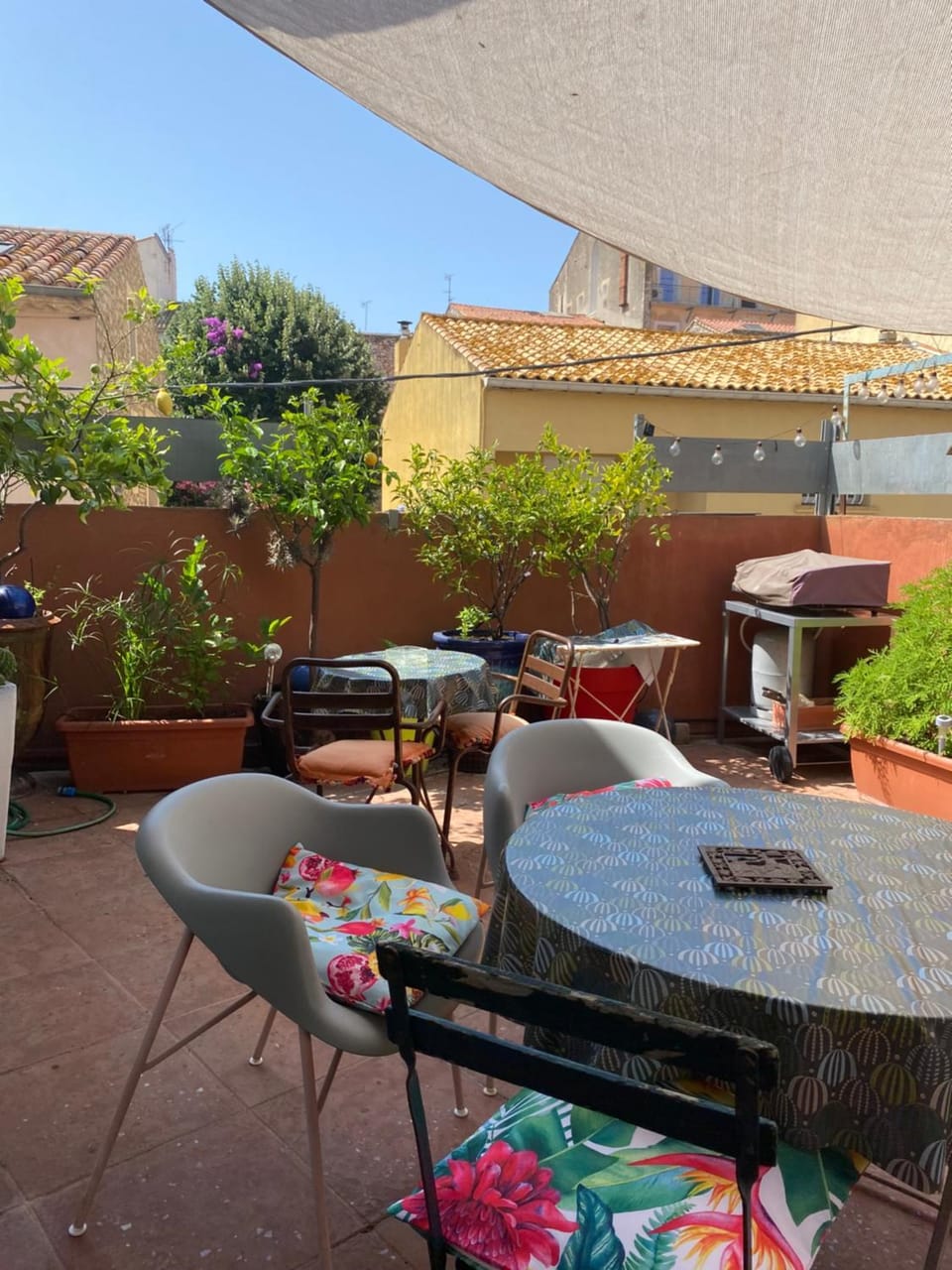 Maison de maitre, coeur de ville. Apartment in Occitanie