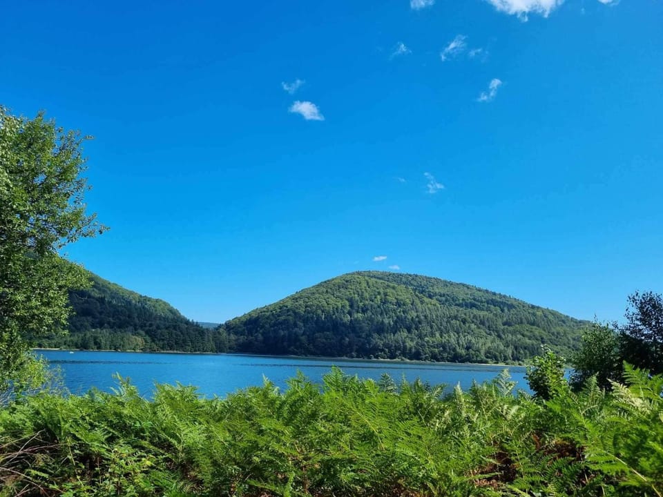 Lake view