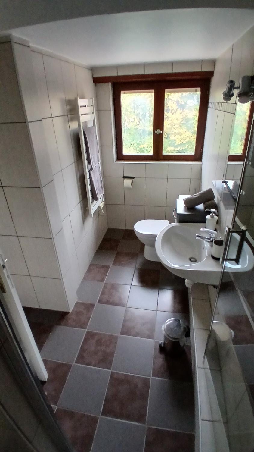 Toilet, Bathroom, towels