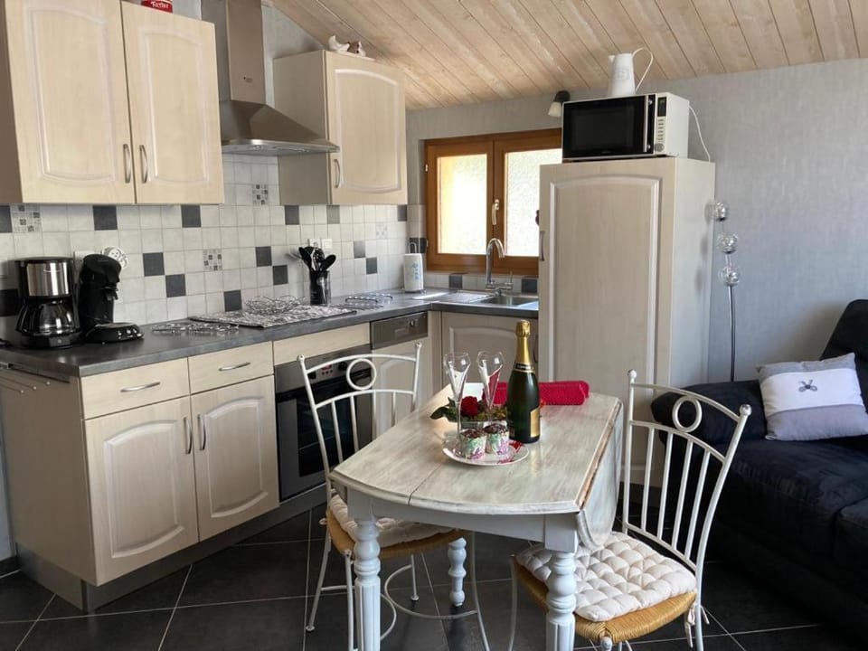 dishwasher, minibar, stove, toaster