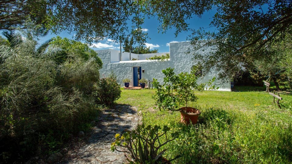 Property building, Spring, Day, Natural landscape, Garden, Garden view