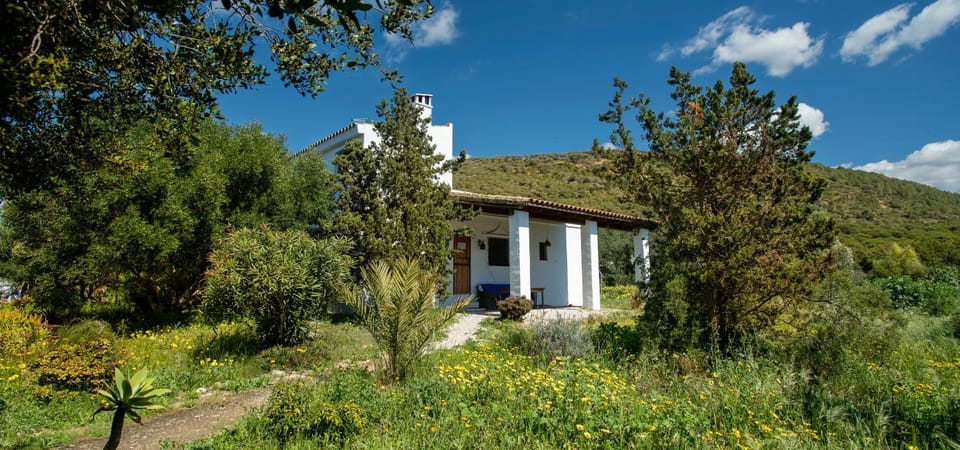 Property building, Spring, Day, Natural landscape, Garden, Garden view, Mountain view