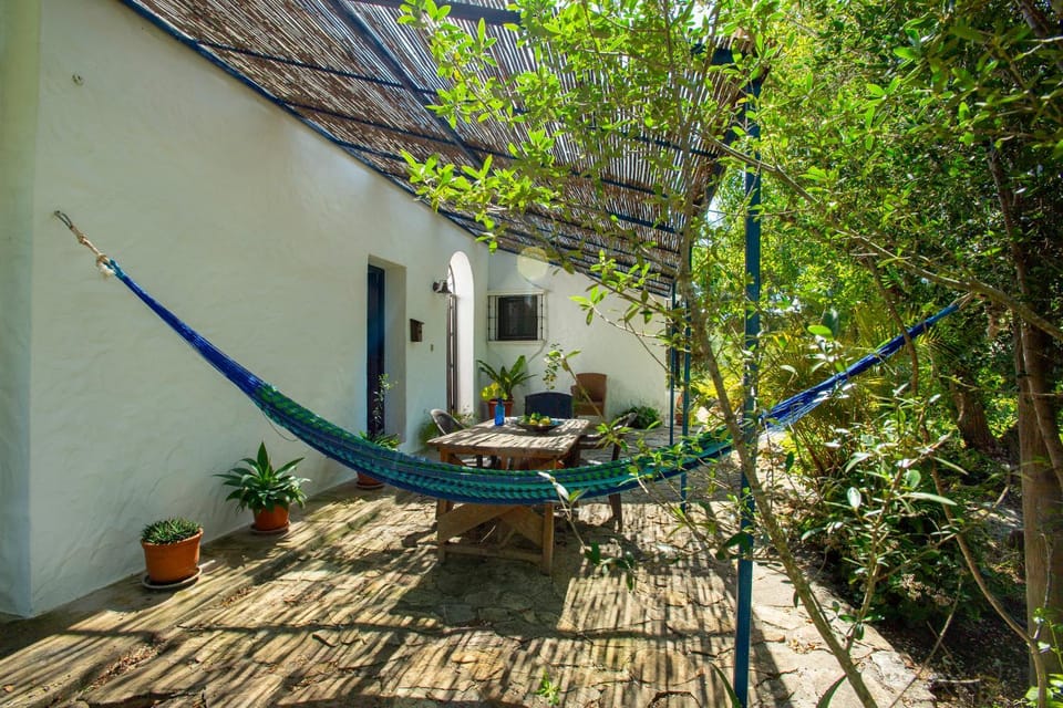 Property building, Patio, Spring, Day, Garden, Garden view