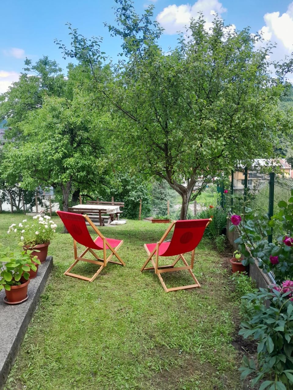 Garden view, Inner courtyard view, sunbed