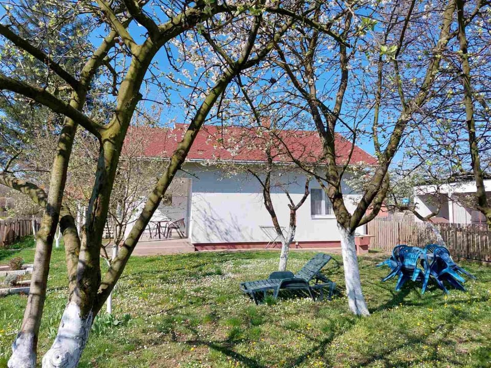 Property building, Garden