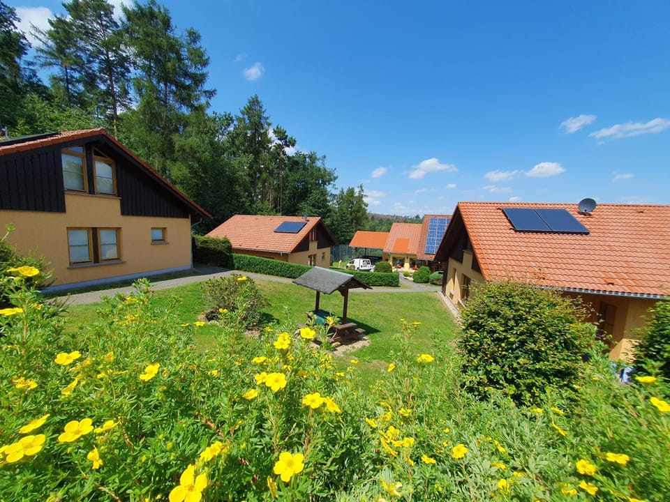 Property building, Natural landscape, Garden, Garden view