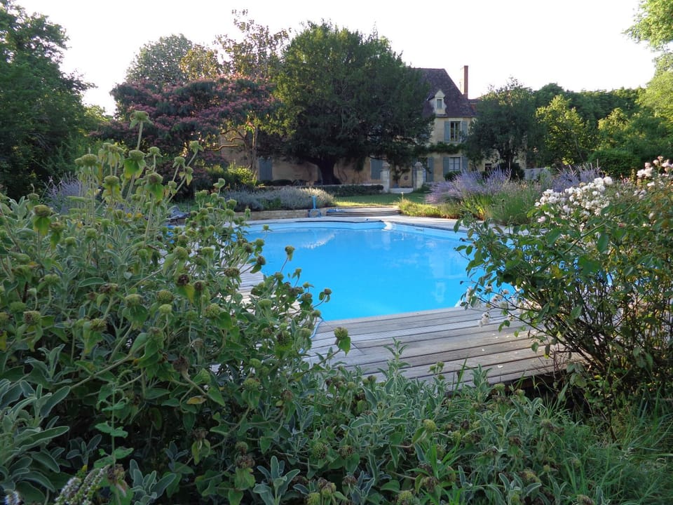 Swimming pool, Swimming pool