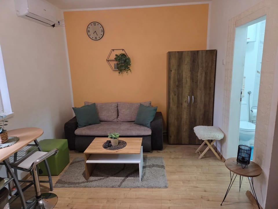 Zen apartman 7 Apartment in Timiș County