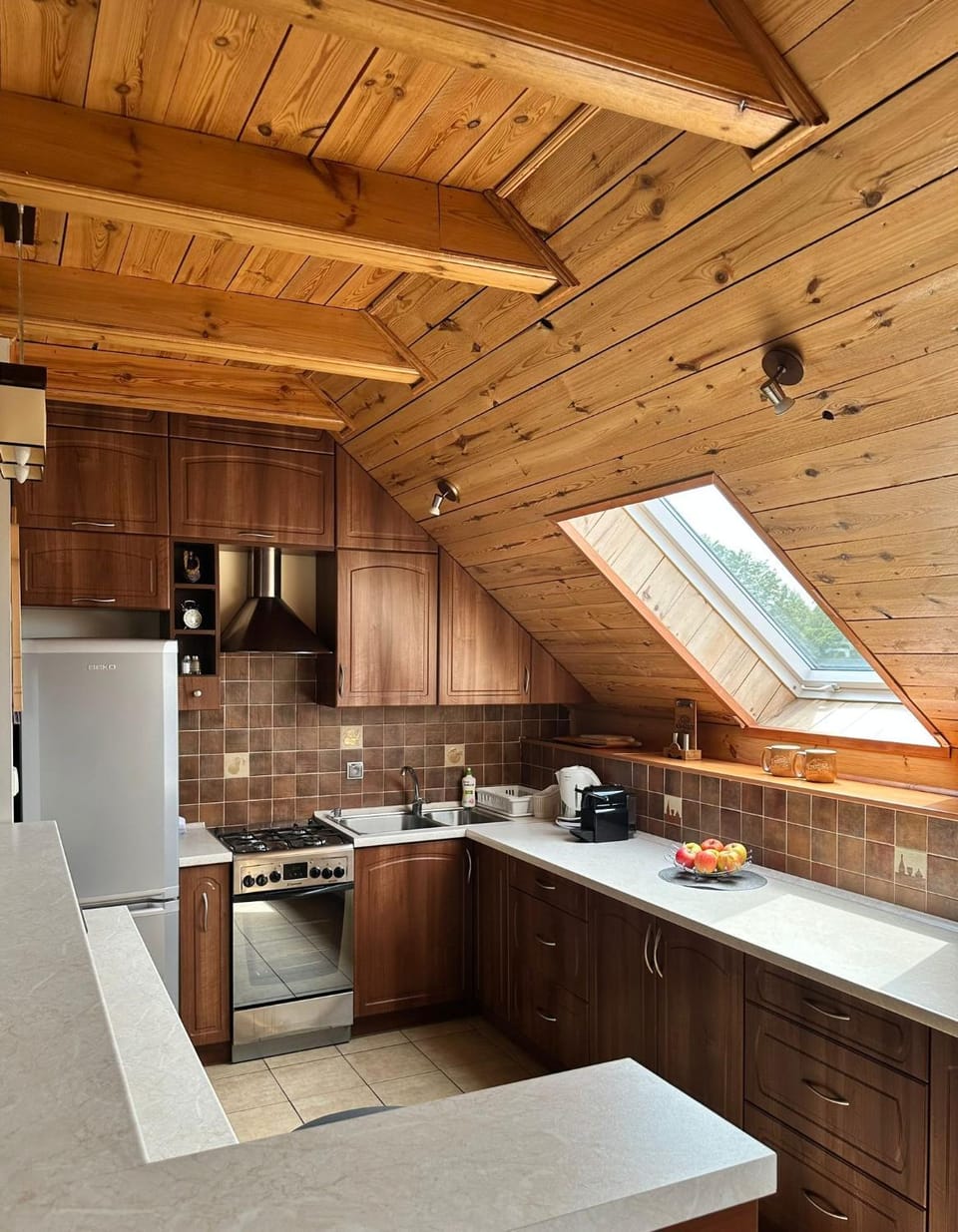 Coffee/tea facilities, Kitchen or kitchenette, Communal kitchen, microwave, minibar, stove, kitchen