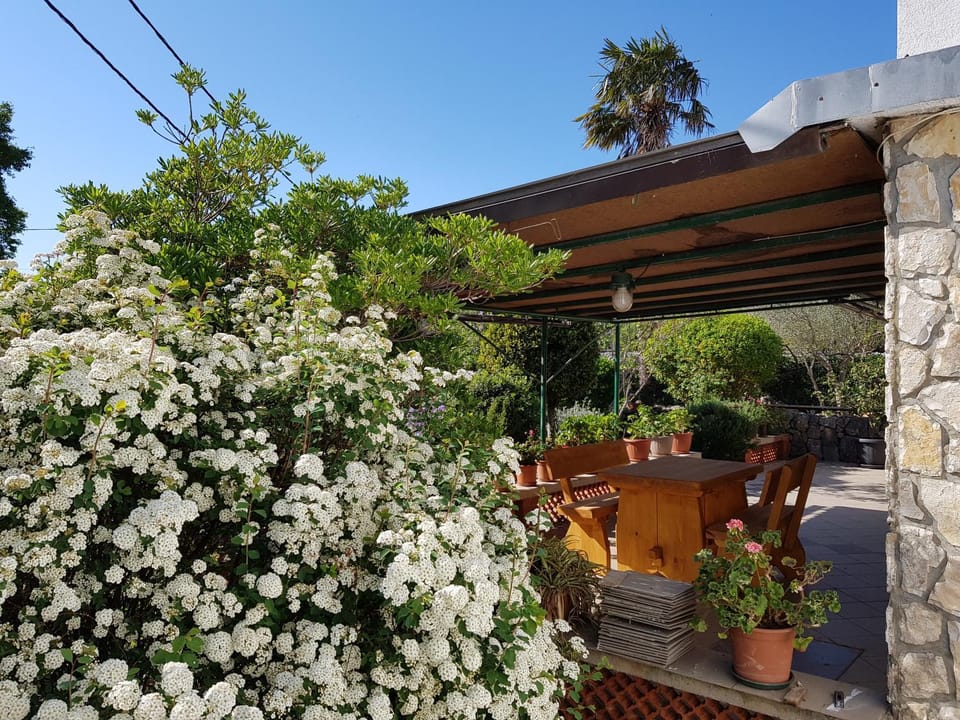 Day, Garden, Balcony/Terrace, Garden view