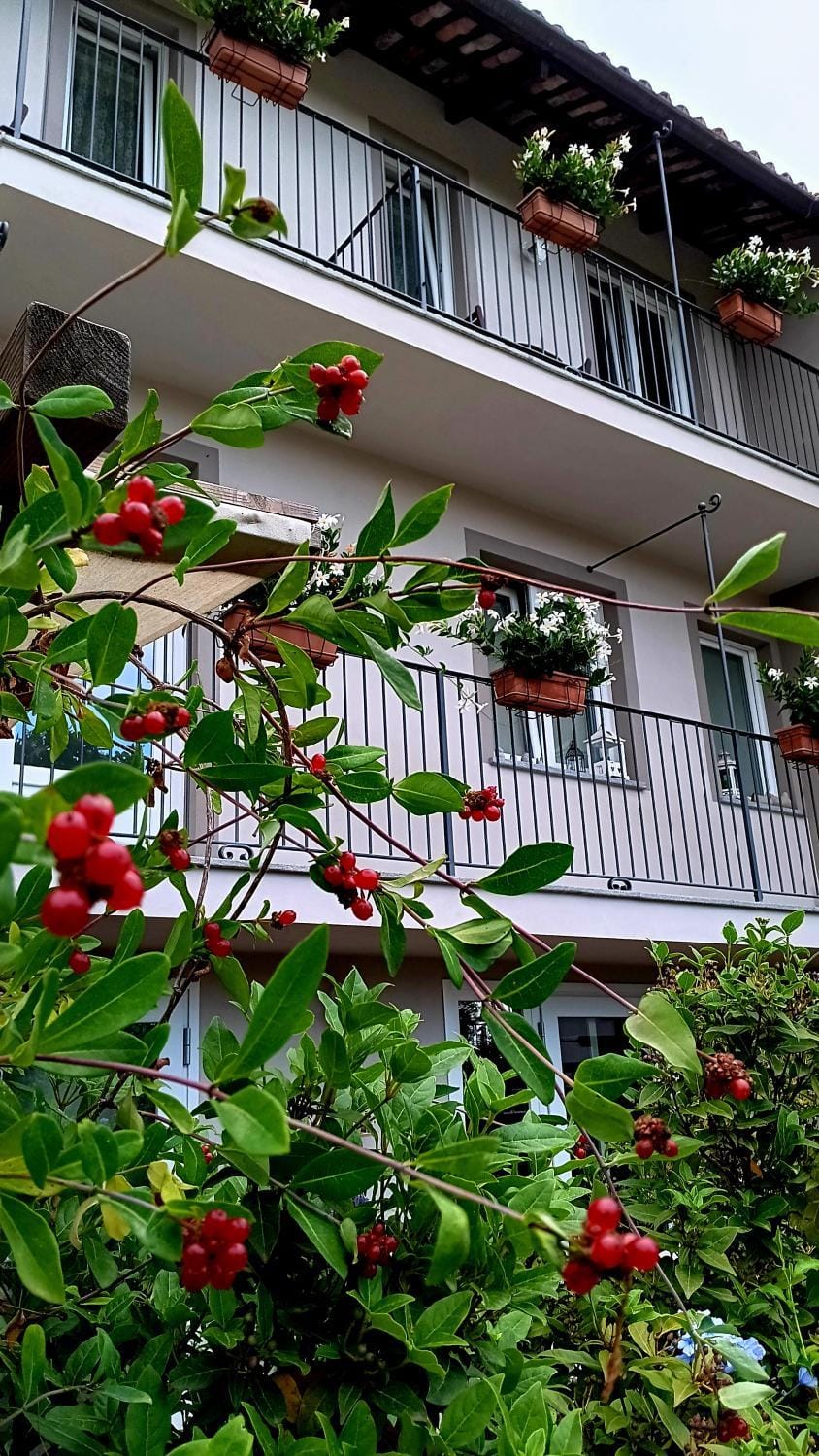 Il bosco delle torte Bed and Breakfast in Piedmont