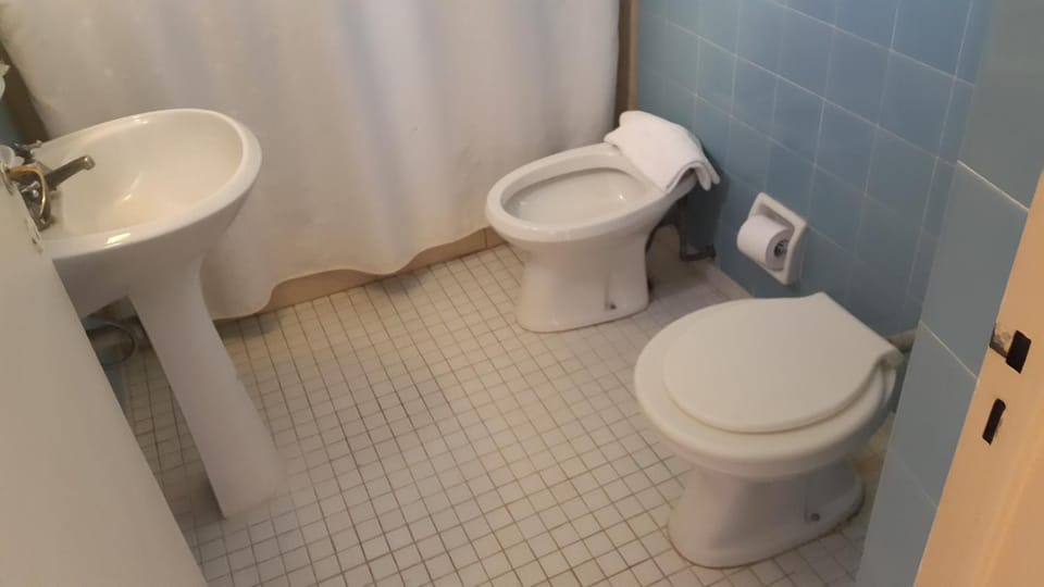 Toilet, Bathroom