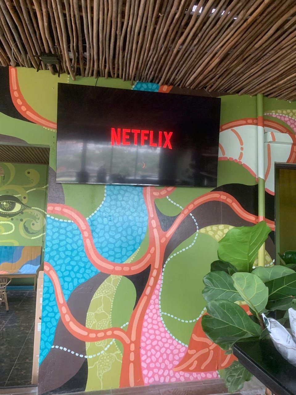 Communal lounge/ TV room, TV and multimedia, Evening entertainment, Entertainment