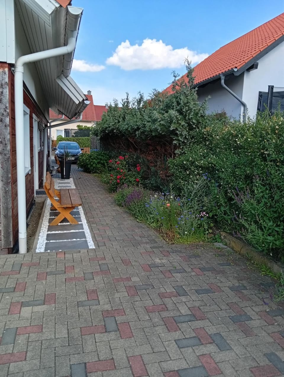 Ferienhaus Mina im Harz House in Saxony-Anhalt, Germany