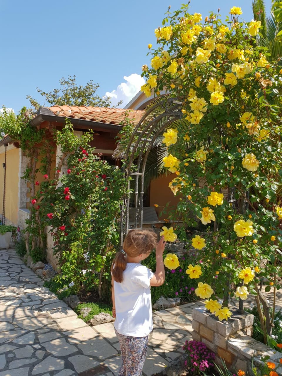 Patio, Garden, children