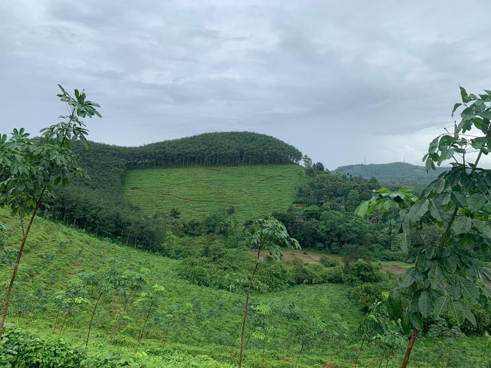 Ella Residence Eco Resort Bed and Breakfast in Western Province