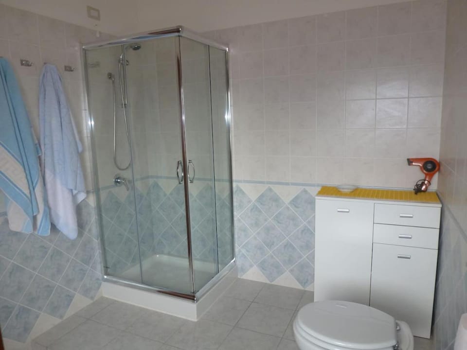 Shower, Toilet, Bathroom, towels