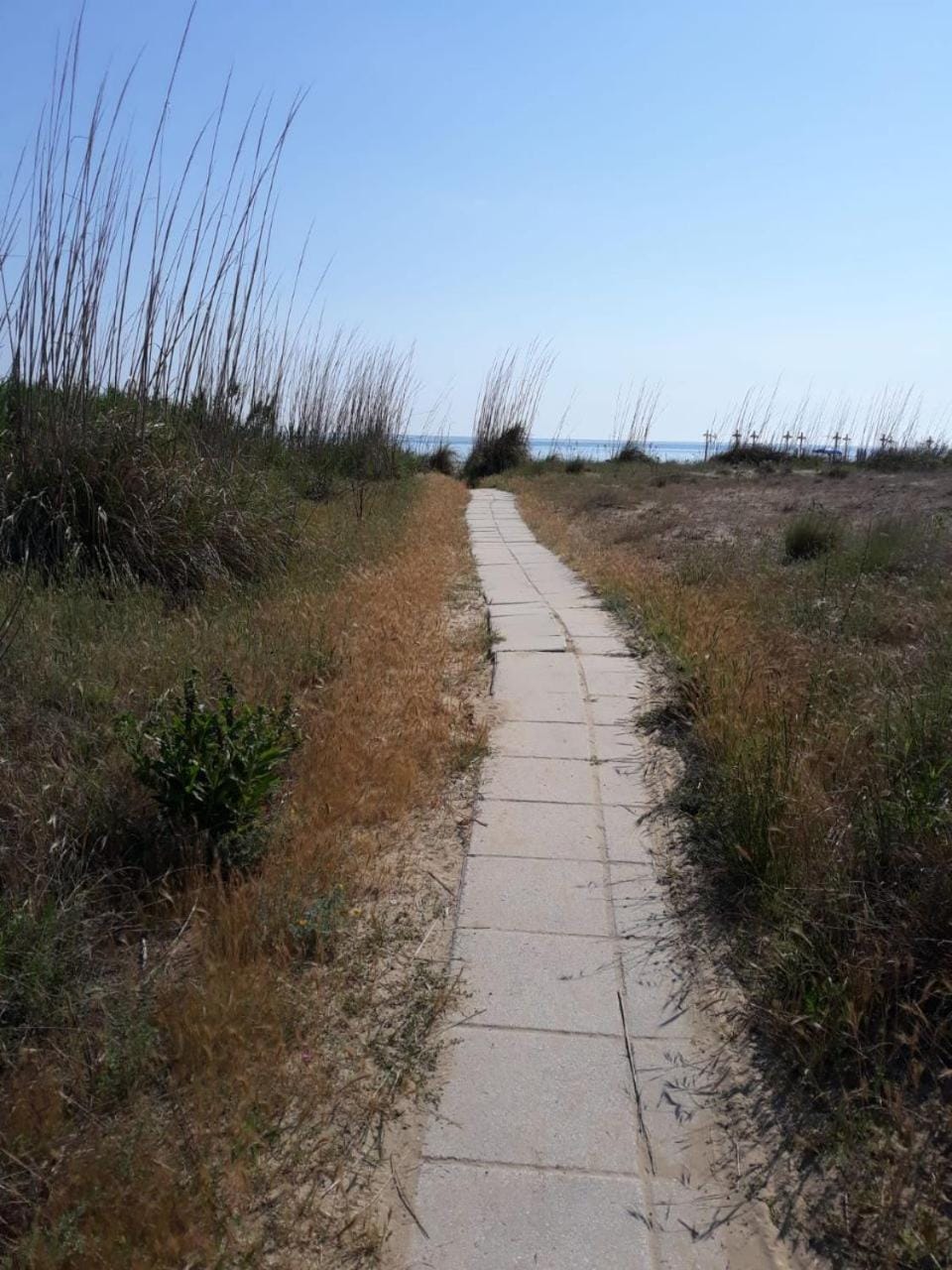 Natural landscape