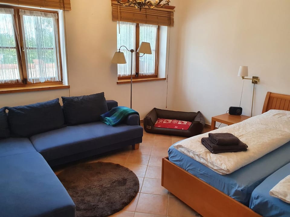 Bed, Bathroom, TV and multimedia, Photo of the whole room, Decorative detail, Seating area, Bedroom, Pets