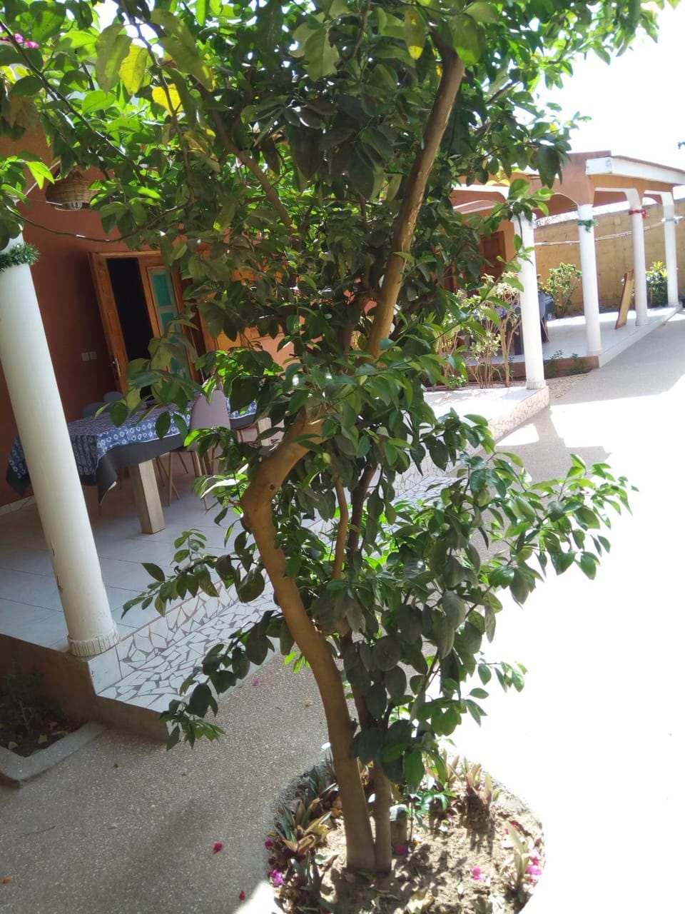 Chez Coumba et Daniel Bed and Breakfast in Mbour