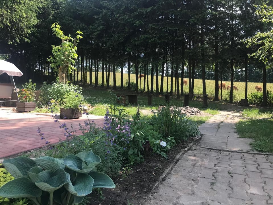 Day, Garden, Garden view