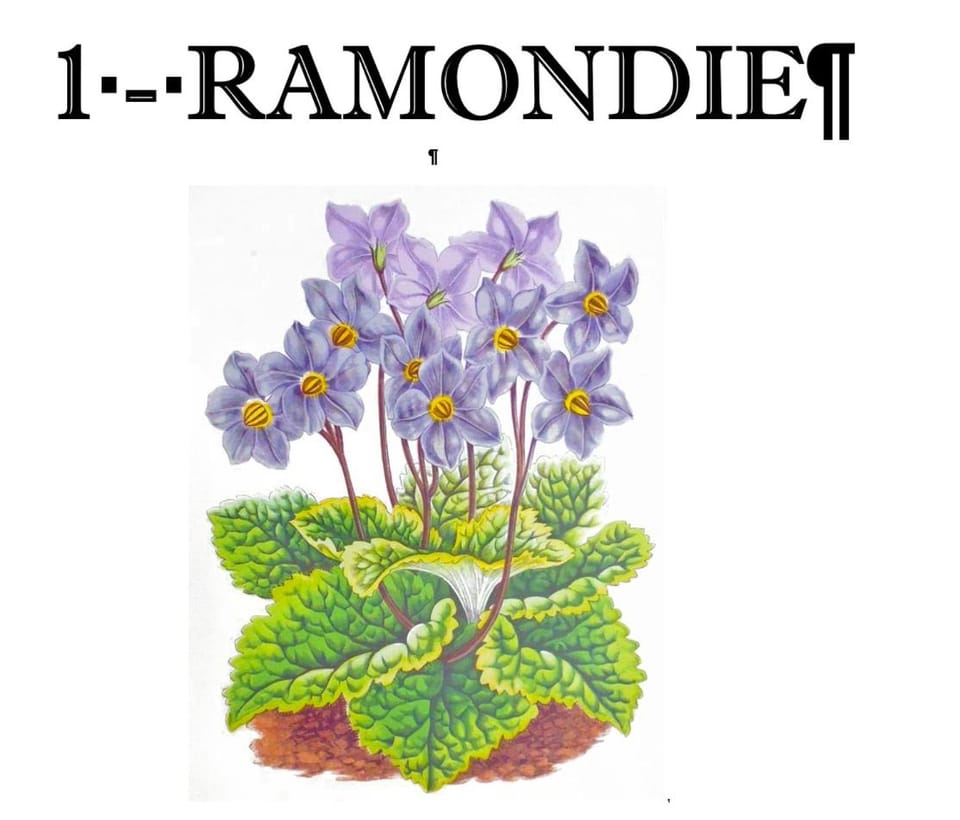 Résidence des Jardins, wifi, centre Luchon Apartment in Occitanie