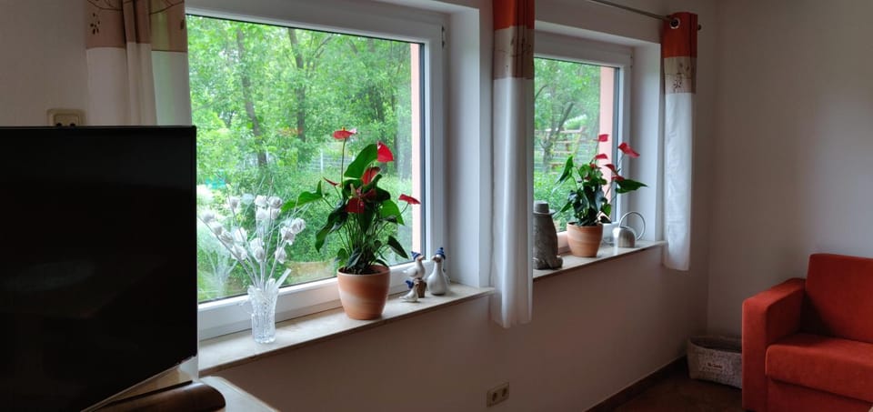 TV and multimedia, Living room, Garden view